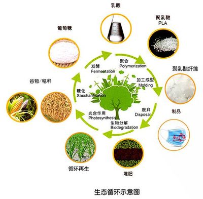 食布同源聚乳酸帶火常規無紡布 生物降解更健康