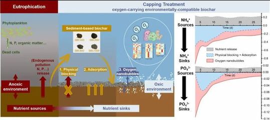 【科研速遞】2022年第二期(總第四期)