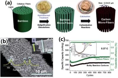 中科大俞漢青EES綜述:生物碳基材料在能量儲存與轉(zhuǎn)換中的應(yīng)用