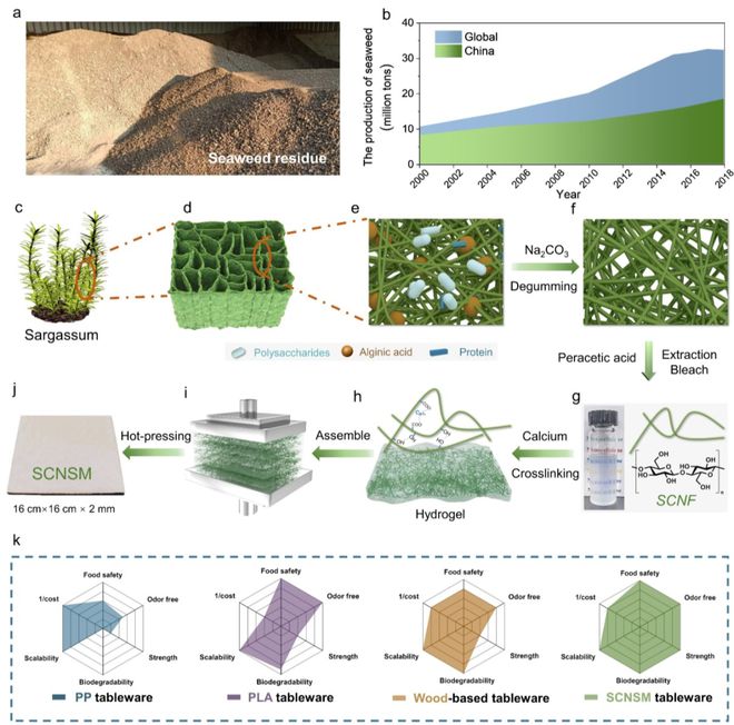中科大俞書宏院士團隊AM:可食用、超強、熱穩定好的海藻基結構材料,可生物降解餐具新選擇!