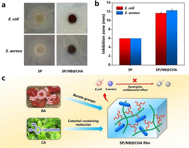 南京林業大學木材膠黏劑與復合材料團隊在高強度,抗菌,阻燃生物基材料